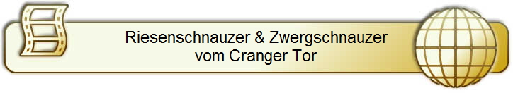 Riesenschnauzer & Zwergschnauzer
vom Cranger Tor