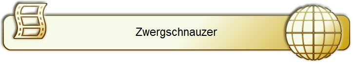 Zwergschnauzer